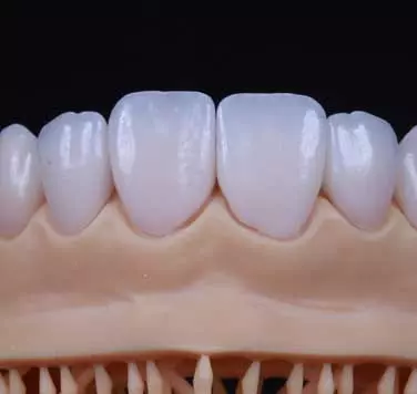 AnyConv.com__SMO_Main_Page_Gallery03