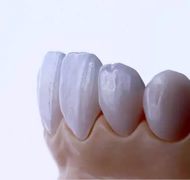 AnyConv.com__SMO_Main_Page_Gallery05